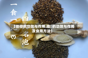 【地棕的功效与作用,地菍的功效与作用及食用方法】