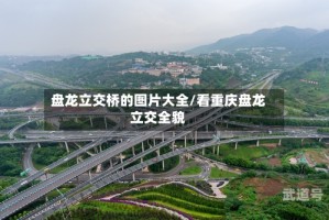 盘龙立交桥的图片大全/看重庆盘龙立交全貌