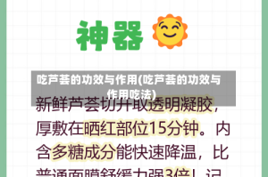 吃芦荟的功效与作用(吃芦荟的功效与作用吃法)