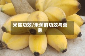 米焦功效/米蕉的功效与营养