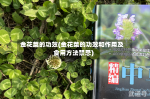 金花菜的功效(金花菜的功效和作用及食用方法禁忌)