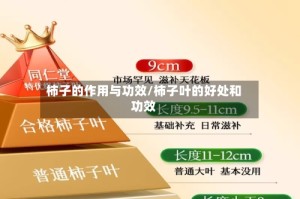 柿子的作用与功效/柿子叶的好处和功效