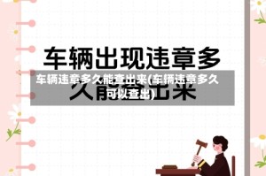 车辆违章多久能查出来(车辆违章多久可以查出)