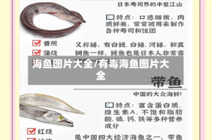 海鱼图片大全/有毒海鱼图片大全