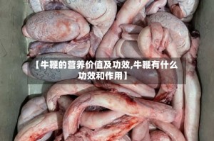 【牛鞭的营养价值及功效,牛鞭有什么功效和作用】