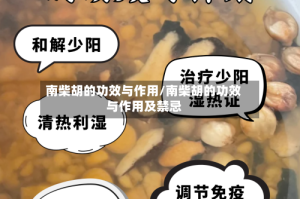 南柴胡的功效与作用/南柴胡的功效与作用及禁忌