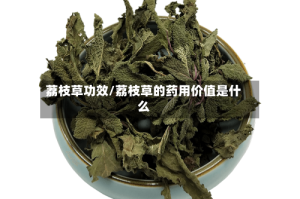 荔枝草功效/荔枝草的药用价值是什么
