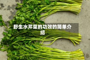 野生水芹菜的功效的简单介绍