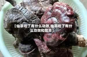 【仙草吃了有什么功效,仙草吃了有什么功效和禁忌】