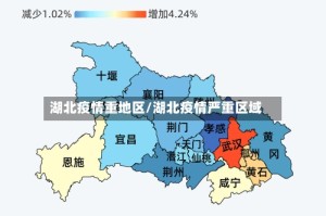 湖北疫情重地区/湖北疫情严重区域
