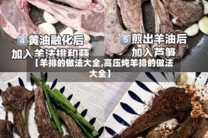 【羊排的做法大全,高压炖羊排的做法大全】