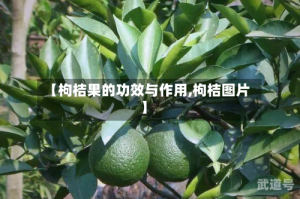 【枸桔果的功效与作用,枸桔图片】