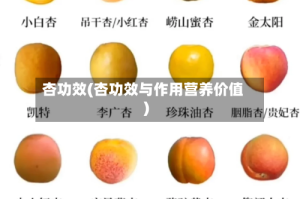 杏功效(杏功效与作用营养价值)