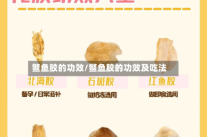鳘鱼胶的功效/鳘鱼胶的功效及吃法