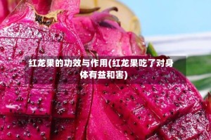 红龙果的功效与作用(红龙果吃了对身体有益和害)