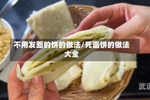 不用发面的饼的做法/死面饼的做法大全