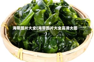 海带图片大全(海带图片大全高清大图)