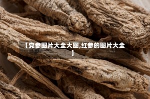 【党参图片大全大图,红参的图片大全】