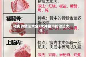猪肉的做法大全/大片猪肉的做法大全