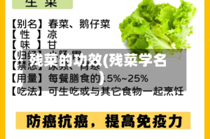残菜的功效(残菜学名)