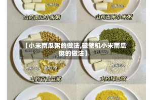 【小米南瓜粥的做法,破壁机小米南瓜粥的做法】