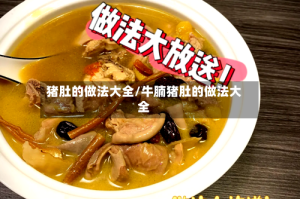 猪肚的做法大全/牛腩猪肚的做法大全