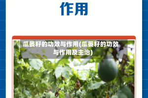 瓜蒌籽的功效与作用(瓜蒌籽的功效与作用及主治)