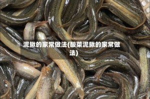 泥鳅的家常做法(酸菜泥鳅的家常做法)