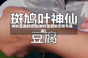 树叶豆腐的功效(树叶豆腐的功效与说说)