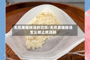无花果猪肺汤的功效/无花果猪肺汤怎么做止咳润肺