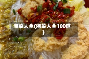 湘菜大全(湘菜大全100道)