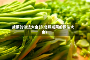 咸菜的做法大全(东北烀咸菜的做法大全)