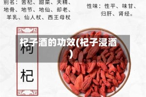 杞子酒的功效(杞子浸酒)