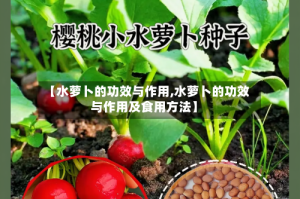 【水萝卜的功效与作用,水萝卜的功效与作用及食用方法】