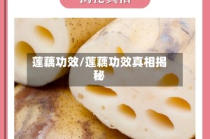 莲藕功效/莲藕功效真相揭秘