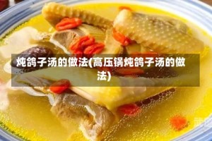 炖鸽子汤的做法(高压锅炖鸽子汤的做法)