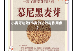 小麦牙功效(小麦的功效与作用点)