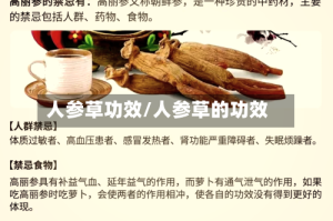 人参草功效/人参草的功效