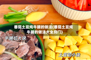 番茄土豆炖牛腩的做法(番茄土豆炖牛腩的做法大全窍门)