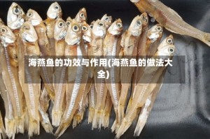 海燕鱼的功效与作用(海燕鱼的做法大全)
