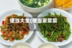 便当大全(便当家常菜)