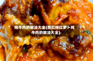 炖牛肉的做法大全(西红柿红萝卜炖牛肉的做法大全)