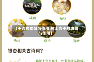 【干杏的功效与作用,树上杏干的功效与作用】