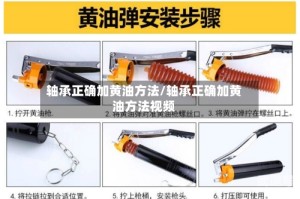 轴承正确加黄油方法/轴承正确加黄油方法视频
