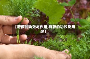 【莳萝的功效与作用,莳萝的功效及用途】