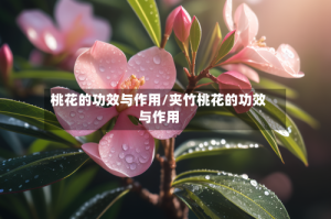 桃花的功效与作用/夹竹桃花的功效与作用