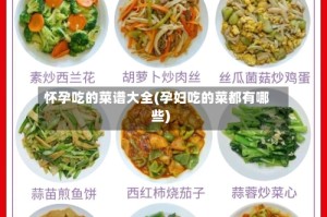怀孕吃的菜谱大全(孕妇吃的菜都有哪些)
