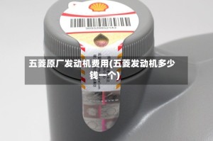 五菱原厂发动机费用(五菱发动机多少钱一个)