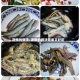 泥鳅的做法/泥鳅的做法简单又好吃