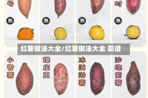 红薯做法大全/红薯做法大全 菜谱